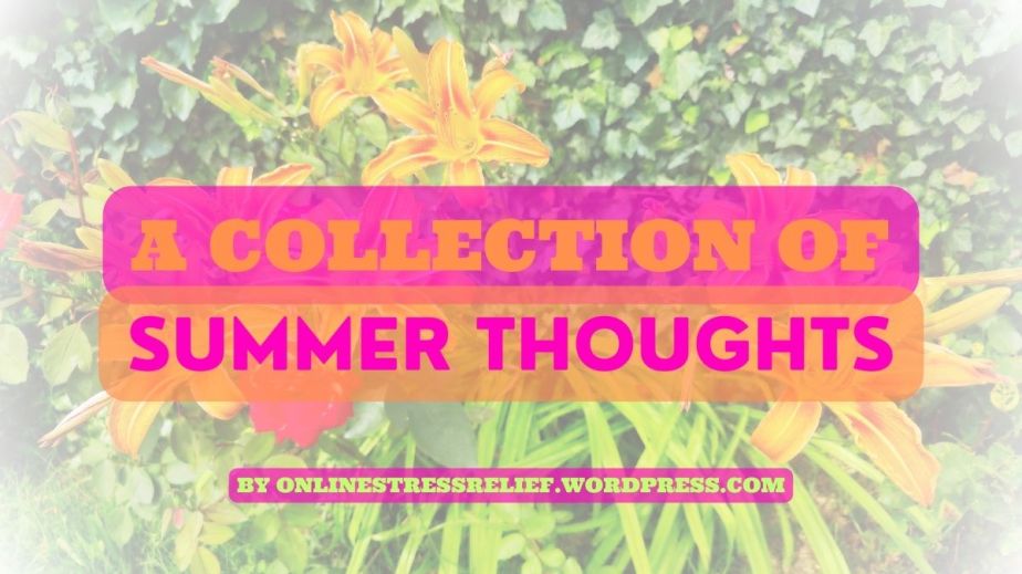 A collection of summer thoughts